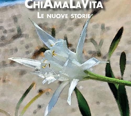Chi ama la vita. Le nuove storie di Federica Sabato