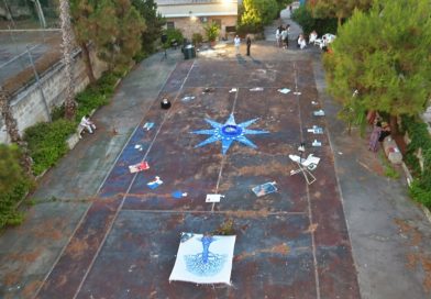 Costellazioni  il risveglio delle piume