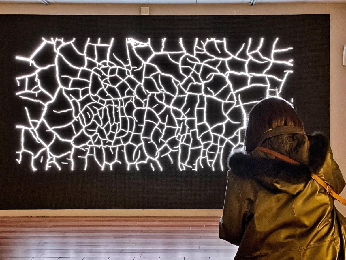 BIIC-Biennale-dellIncisione-Italiana-Contemporanea-Domenico-Fratianni -XI-Edizione foto-di-Francesco-Panzetti 1