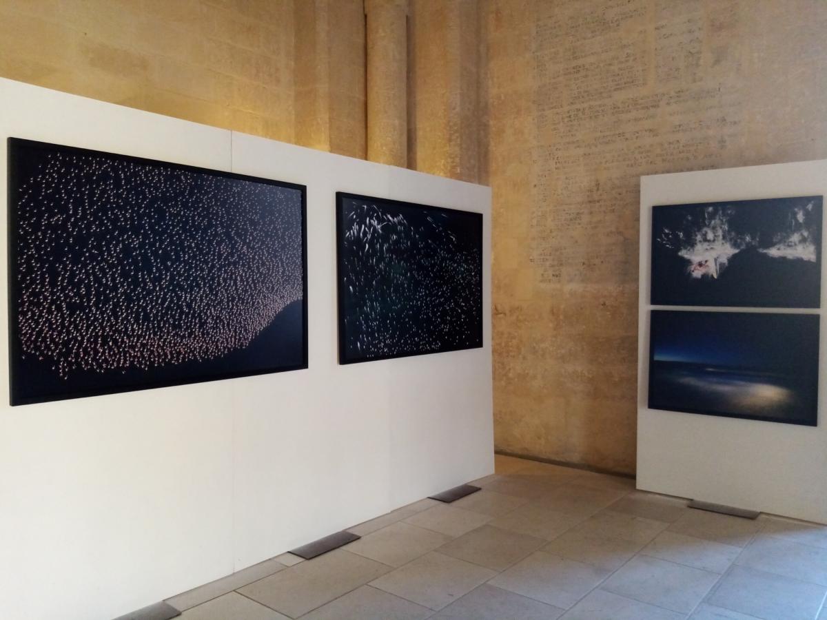  Allestimento mostra L'aria del tempo di Massimo Sestini Castello Carlo V Lecce, a.f.