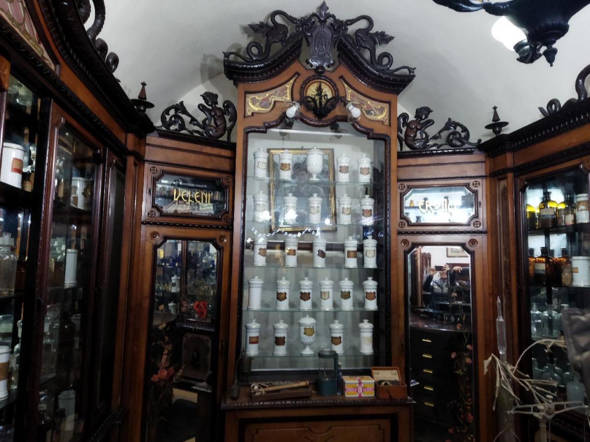 Mesagne foto-Sara-Foti-Sciavaliere 16