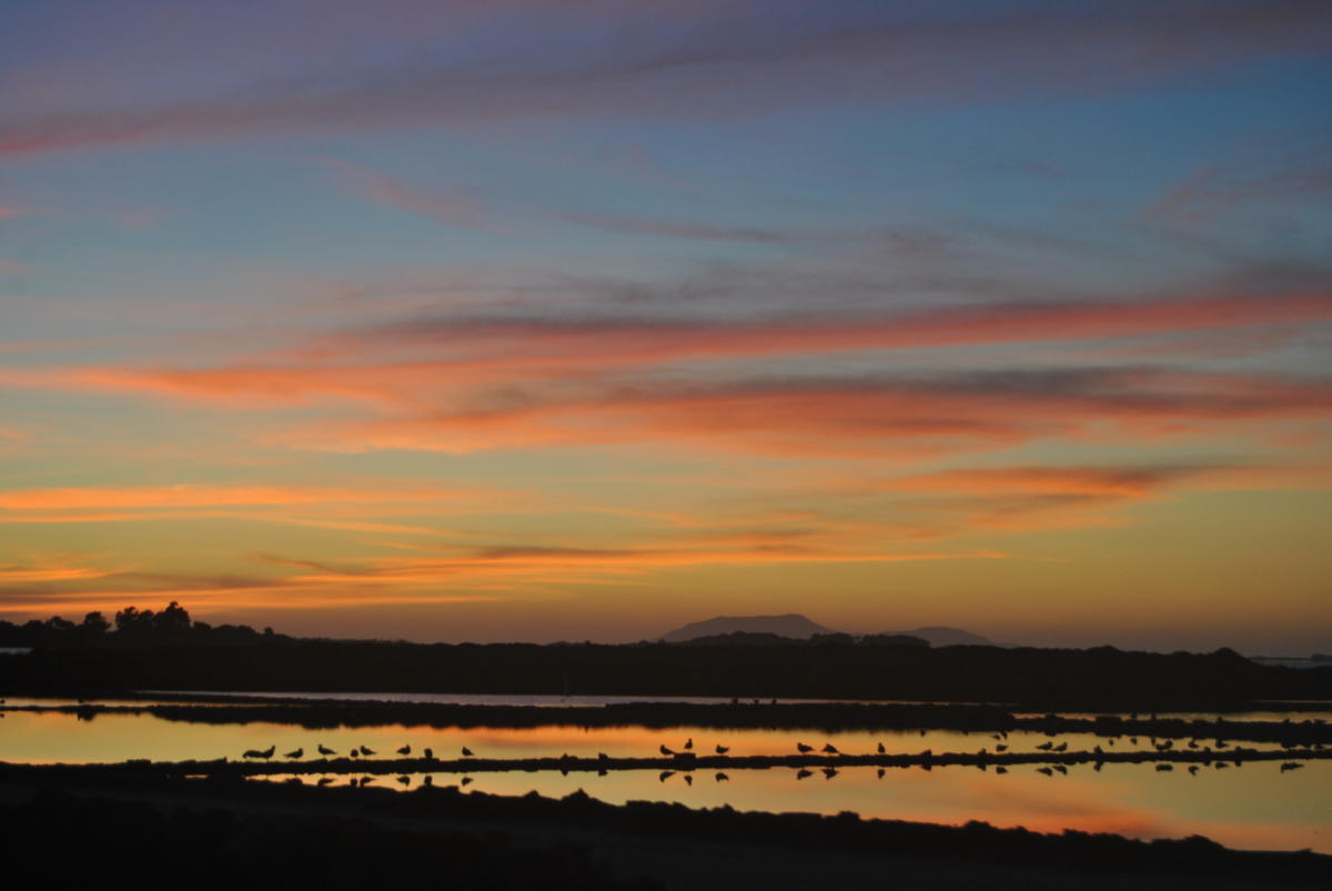 13 - Veduta delle saline dello Stagnone di Marsala (TP) al tramonto
