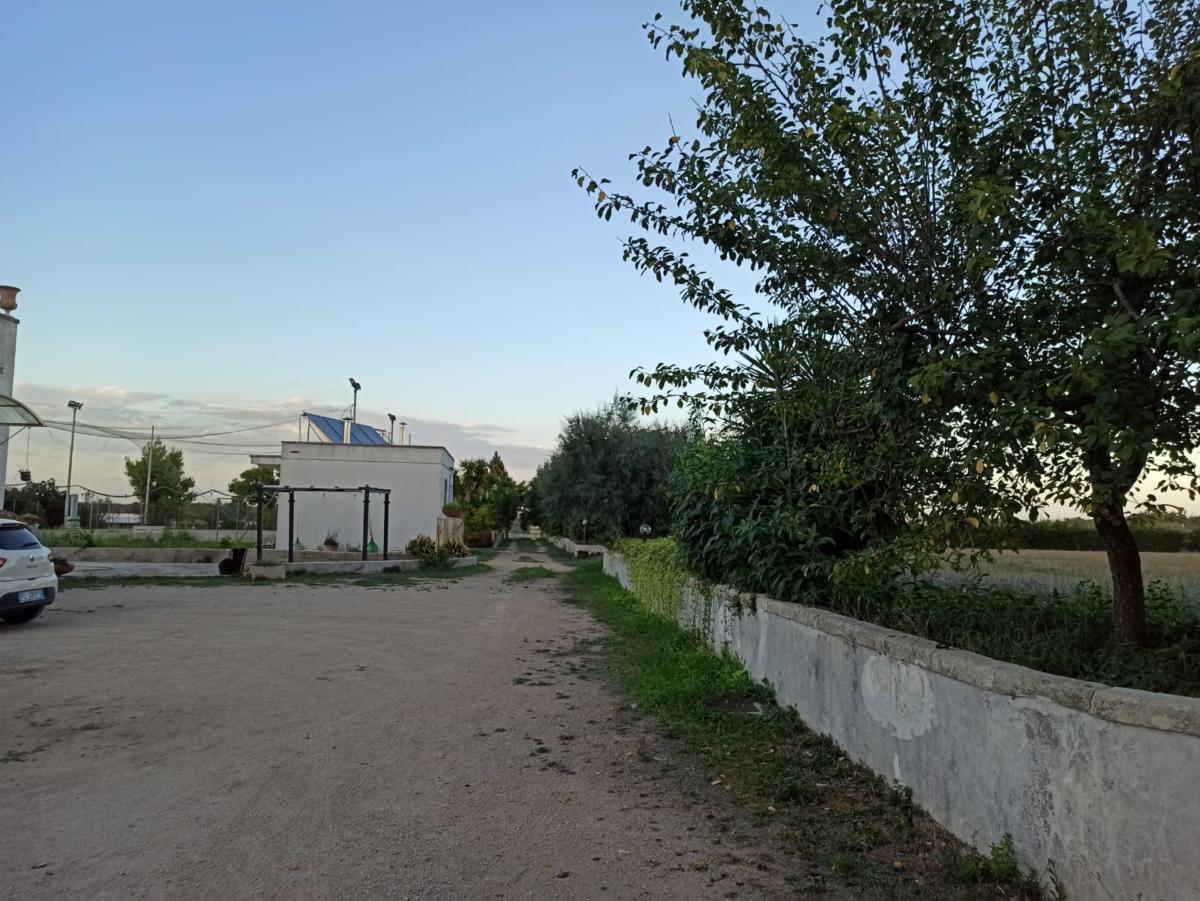 Fondazione La cometa Villa delle rose