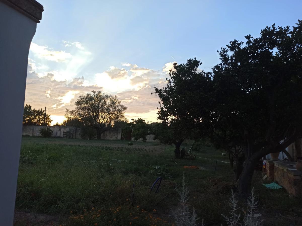 Fondazione La cometa Villa delle rose