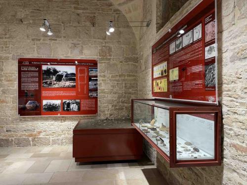 Museo-Corato-5