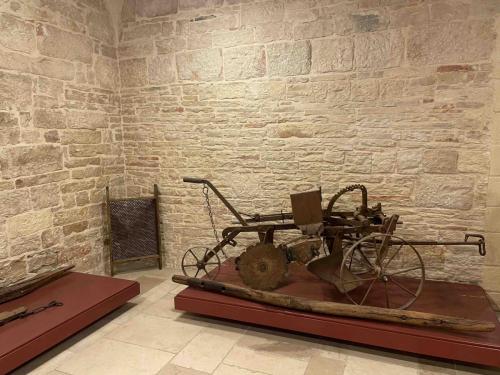 Museo-Corato3