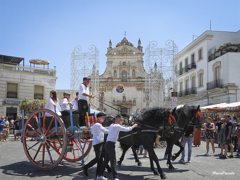 Galatina 2024, rievocazione storica del rito della taranta,  Reportage di Maria Pacoda